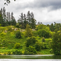 Buy canvas prints of Tarn Hows Cumbria  by Phil Longfoot