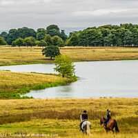 Buy canvas prints of Horse riding in Cheshire  by Phil Longfoot