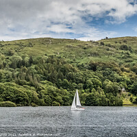 Buy canvas prints of Sailing on Windermere  by Phil Longfoot