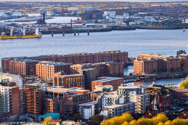 Royal Albert Dock from Liverpool Cathedral  Picture Board by Phil Longfoot