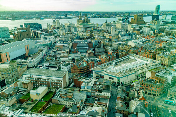 Liverpool City Centre from St Johns Beacon Picture Board by Phil Longfoot