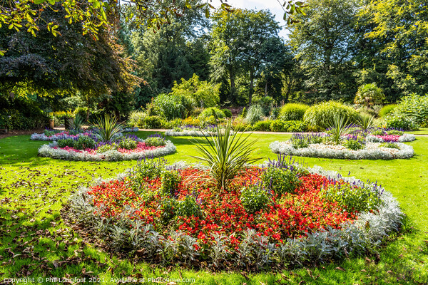Flower beds in a Liverpool Park.  Picture Board by Phil Longfoot