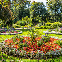 Buy canvas prints of Flower beds in a Liverpool Park.  by Phil Longfoot