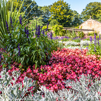 Buy canvas prints of English Country Garden  by Phil Longfoot