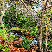 Buy canvas prints of Beautiful autumnal cascade  by Phil Longfoot