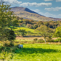 Buy canvas prints of Lovely scenery near Beddgelert Snowdonia  by Phil Longfoot