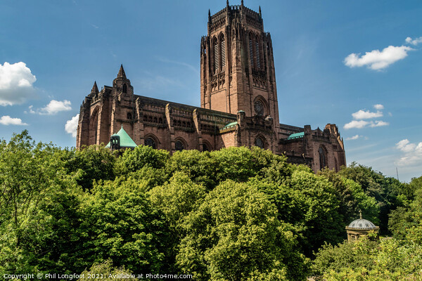 Liverpool Cathedral on the mount Picture Board by Phil Longfoot