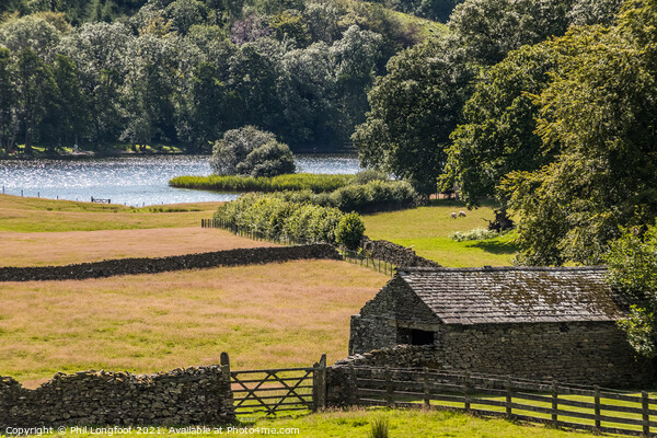 Farmland near Esthwaite Water Lake District Picture Board by Phil Longfoot