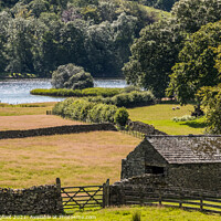 Buy canvas prints of Farmland near Esthwaite Water Lake District by Phil Longfoot