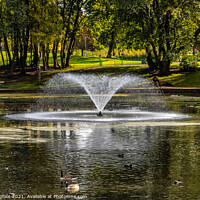 Buy canvas prints of City park fountain by Phil Longfoot