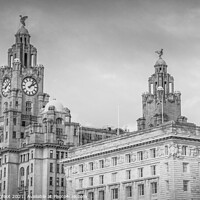 Buy canvas prints of Royal Liver and Cunard Buildings Liverpool  by Phil Longfoot