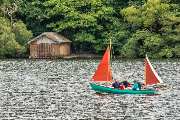 Sailing on Windermere Picture Board by Phil Longfoot