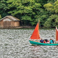 Buy canvas prints of Sailing on Windermere by Phil Longfoot