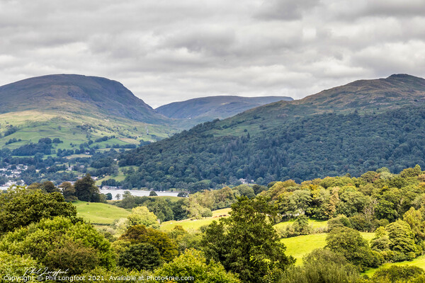 The hills near to Windermere Cumbria,, Picture Board by Phil Longfoot