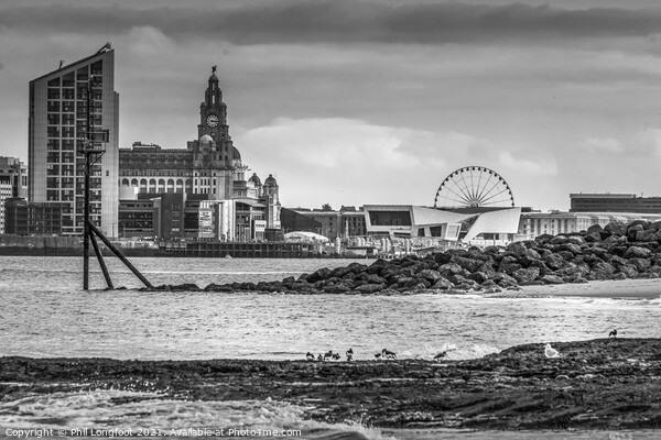 View from River Mersey beach Picture Board by Phil Longfoot