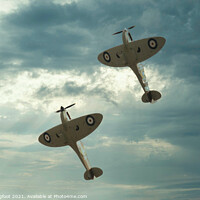Buy canvas prints of Spitfires climbing  by Phil Longfoot