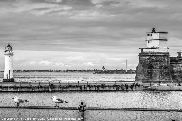 Fort Perch Rock and Lighthouse New Brighton  Picture Board by Phil Longfoot