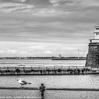 Buy canvas prints of Fort Perch Rock and Lighthouse New Brighton  by Phil Longfoot