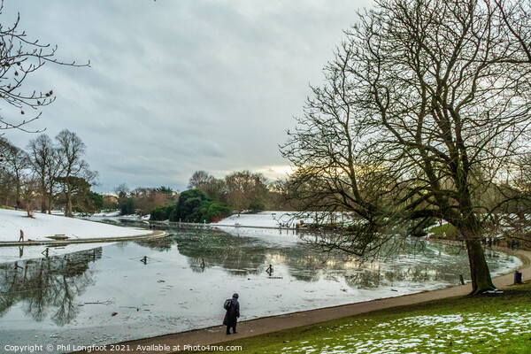 Sefton Park Winter Scene  Picture Board by Phil Longfoot