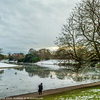 Buy canvas prints of Sefton Park Winter Scene  by Phil Longfoot