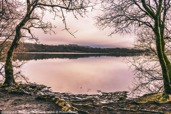 Bassenthwaite Lake Cumbria  Picture Board by Phil Longfoot