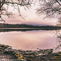Buy canvas prints of Bassenthwaite Lake Cumbria  by Phil Longfoot