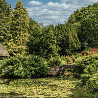 Buy canvas prints of An English Country Garden by Phil Longfoot