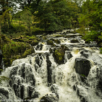 Buy canvas prints of Swallow Falls Snowdonia  by Phil Longfoot