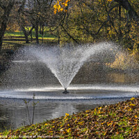 Buy canvas prints of Newsham Park Liverpool Fountain by Phil Longfoot