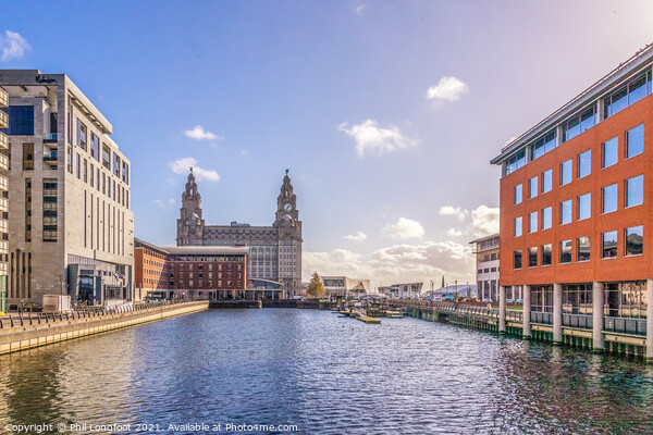 Princes Dock Liverpool looking towards Royal Liver Building Picture Board by Phil Longfoot