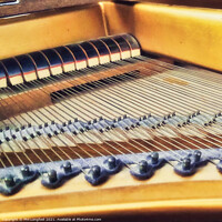 Buy canvas prints of Dusty Piano Strings by Phil Longfoot