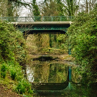 Buy canvas prints of Iron Bridge Sefton Park  by Phil Longfoot