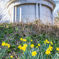 Buy canvas prints of Daffodils in Vale Park Wirral  by Phil Longfoot