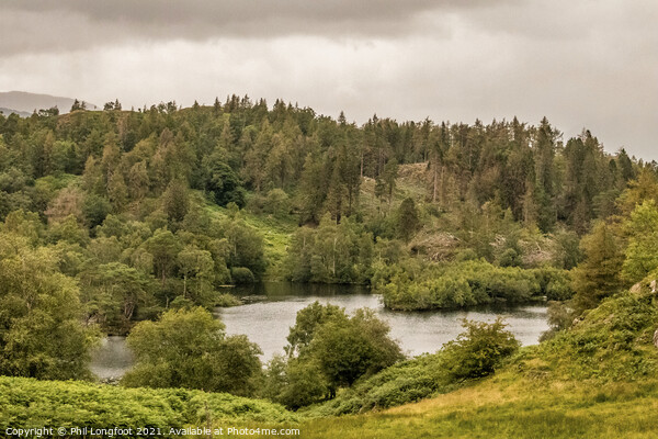 Tarn Hows South Lakes Cumbria  Picture Board by Phil Longfoot