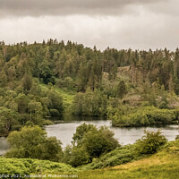 Buy canvas prints of Tarn Hows South Lakes Cumbria  by Phil Longfoot