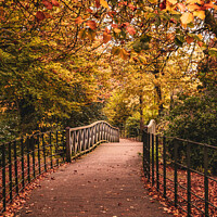 Buy canvas prints of Autumnal Pathway by Phil Longfoot