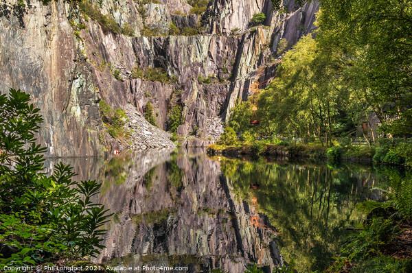 Old quarry reflections  Picture Board by Phil Longfoot