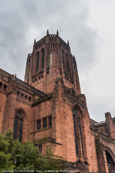 Liverpool Anglican Cathedral  Picture Board by Phil Longfoot