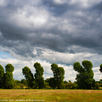 Buy canvas prints of Trees and Sky by Ron Thomas