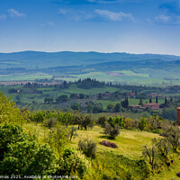 Buy canvas prints of A Scene in Tuscany by Ron Thomas