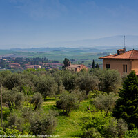 Buy canvas prints of A Landscape in Tuscany by Ron Thomas
