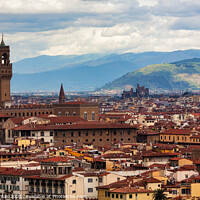 Buy canvas prints of View over Florence by Ron Thomas