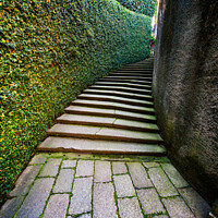 Buy canvas prints of Secluded Path and Steps by Ron Thomas