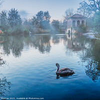 Buy canvas prints of Swan in the Lake at Birkenhead Park by Ron Thomas