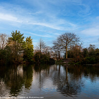 Buy canvas prints of A Lake in Birkenhead Park by Ron Thomas