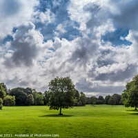 Buy canvas prints of Trees in Birkenhead Park by Ron Thomas