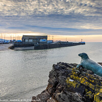 Buy canvas prints of Nelson The Seal At Looe by Jim Monk