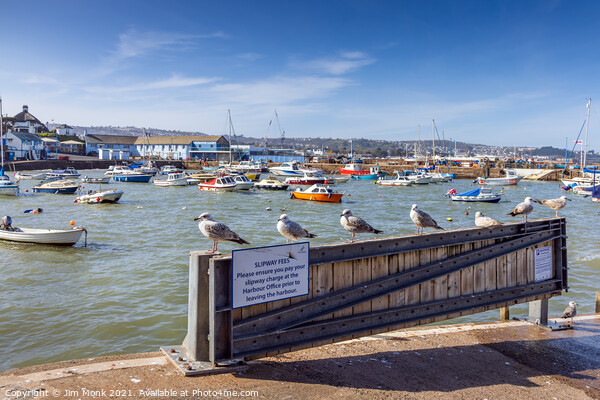 Paignton Harbour View Picture Board by Jim Monk