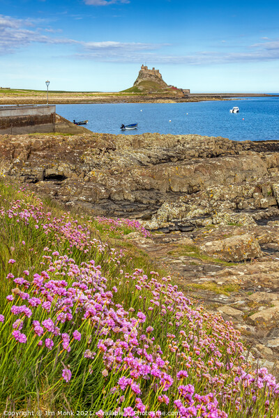 Lindisfarne Castle across the harbour Picture Board by Jim Monk