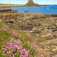 Buy canvas prints of Lindisfarne Castle across the harbour by Jim Monk